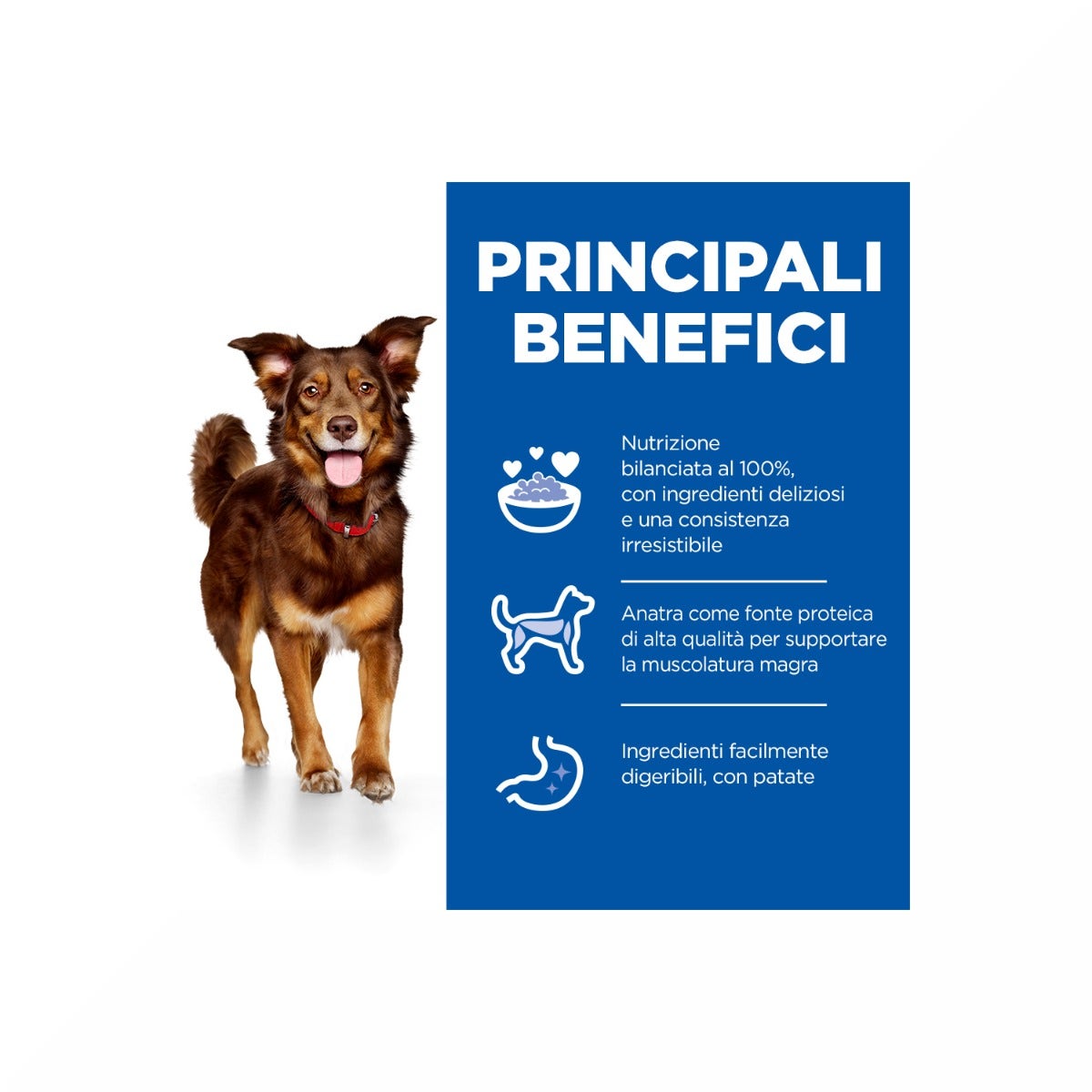 Hill's Science Plan Culinary Creations Adult Crocchette Con Anatra E Patate Per Cani Taglia Media Sacco 2,5 Kg-4