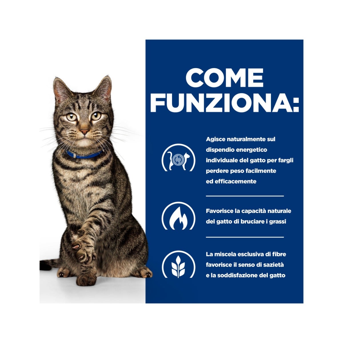 Hill's Prescription Diet Metabolic Crocchette Tonno Per Gatti Sacco 8kg-6