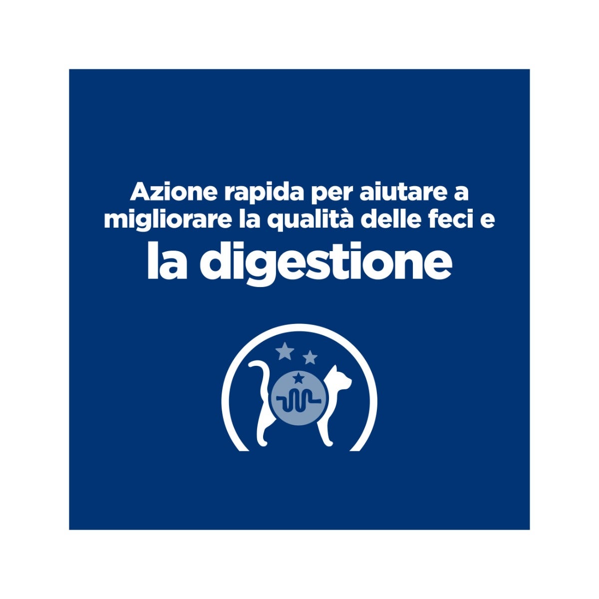 Hill's Prescription Diet Gastrointestinal Biome Crocchette Per Gatti Sacco 300g-12