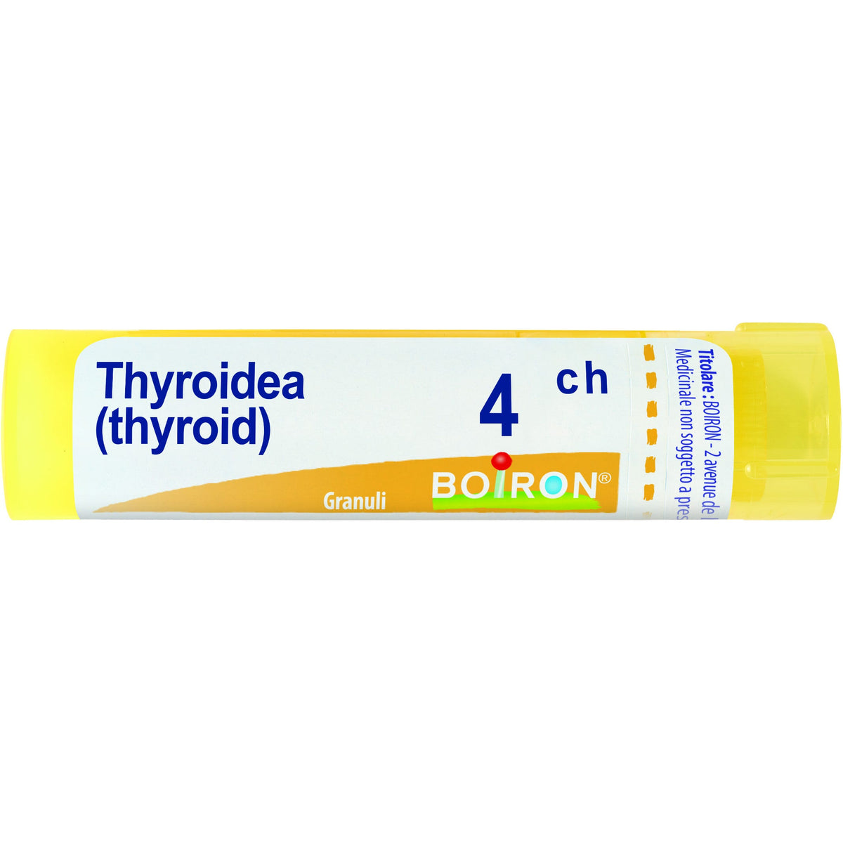 Boiron Thyroidea (Thyroidinum) Granuli 04Ch Tubo 4g  - 1