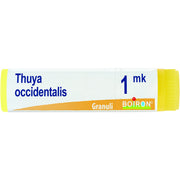 Boiron Thuya Occidentalis Globuli 1Mk Dose 1g - 1