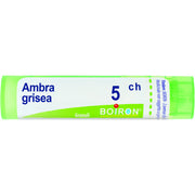 Boiron Ambra Grisea Granuli 05Ch Tubo 4g  - 1