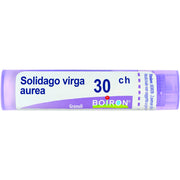 Boiron Solidago Virga Aurea Granuli 30Ch Tubo 4g  - 2