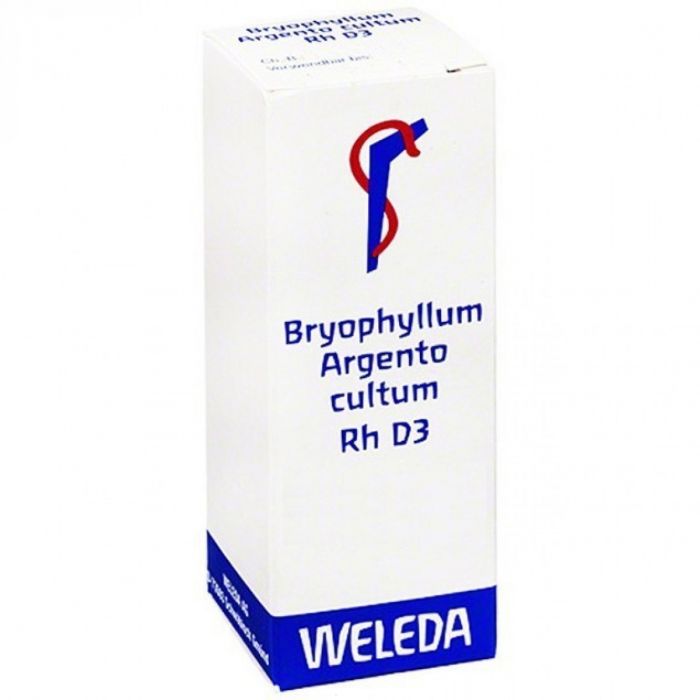 Weleda Bryophyllum Argento Cultum D3 Rh 8 Fiale Da 1 Ml