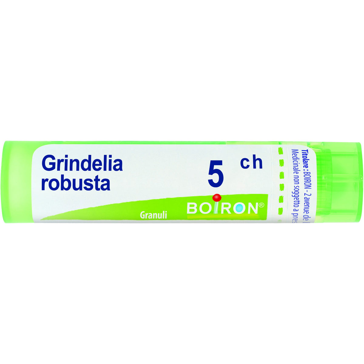 Boiron Grindelia Robusta Granuli 05Ch Tubo 4g - 1