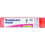 Boiron Rhododendron Chrysan Granuli 07Ch Tubo 4g  - 1