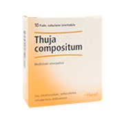 Thuya Compositum 10 Fiale  - 1