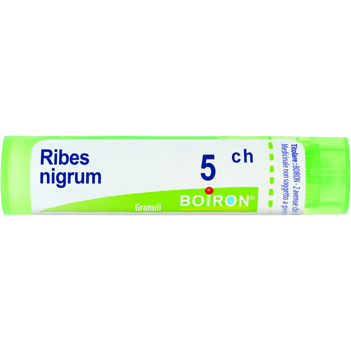 Boiron Ribes Nigrum Granuli 05Ch Tubo 4g - 1