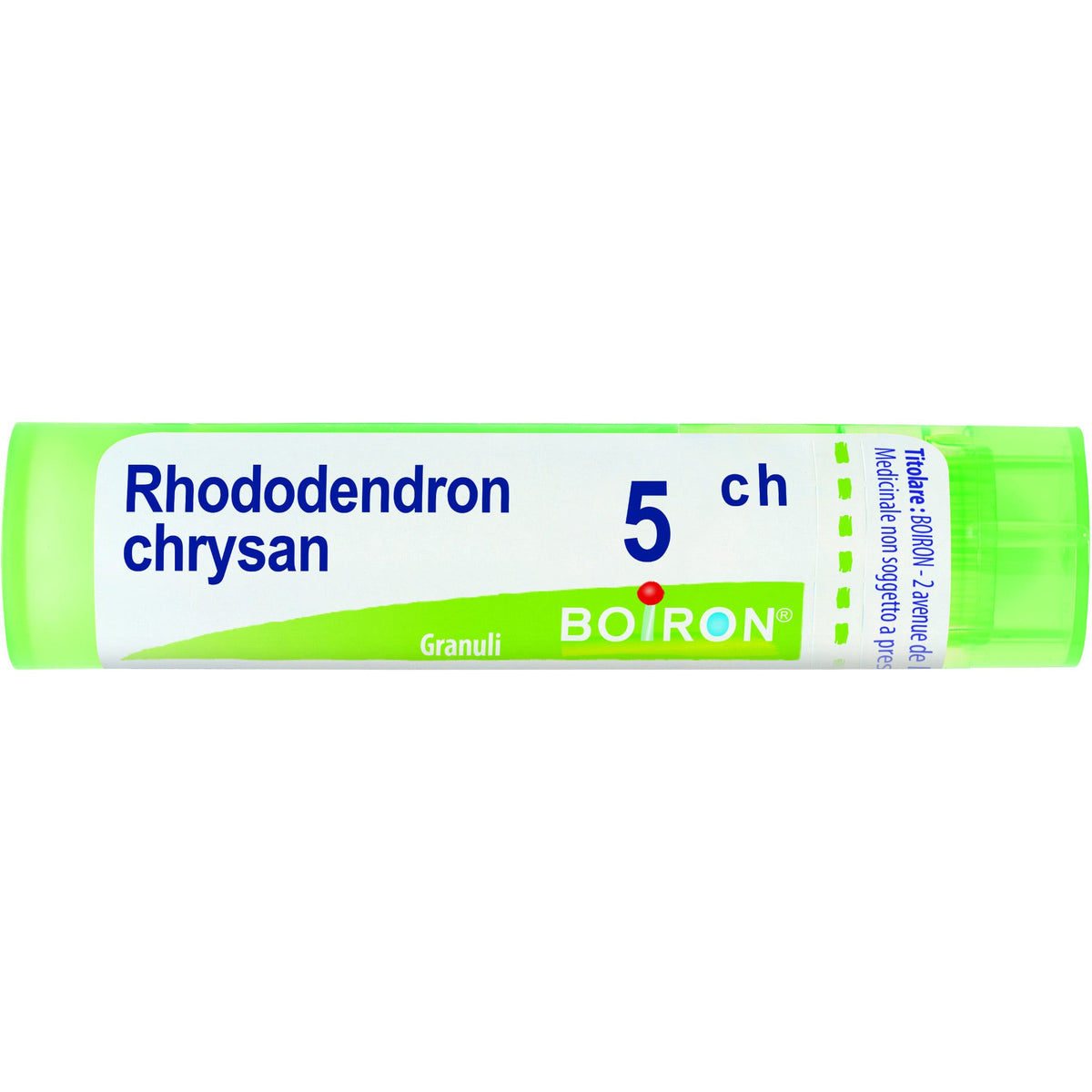 Boiron Rhododendron Chrysan Granuli 05Ch Tubo 4g  - 1