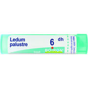 Boiron Ledum Palustre Granuli 06Dh Tubo 4g  - 1