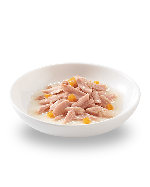 Schesir Tonnetto Con Zucca Lattina Cibo Umido Gatto Adulto 70g-3