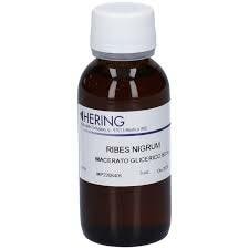 Ribes Nigrum Gemme 60 ml-1