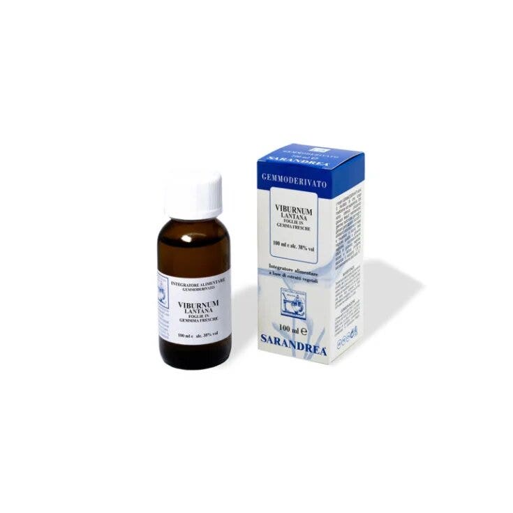 VIBURNUM LANTANA 100ML MG-1