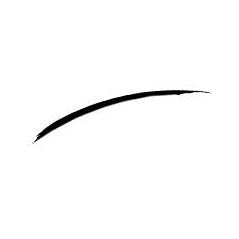 Collistar Eye Liner Professionale Con Pennellino In Setole N.10 Nero 5ml-2