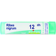 Boiron Ribes Nigrum Granuli 12Dh Tubo 4g  - 1