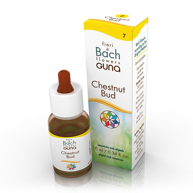 Guna Chestnut Bud Gocce 10ml-2