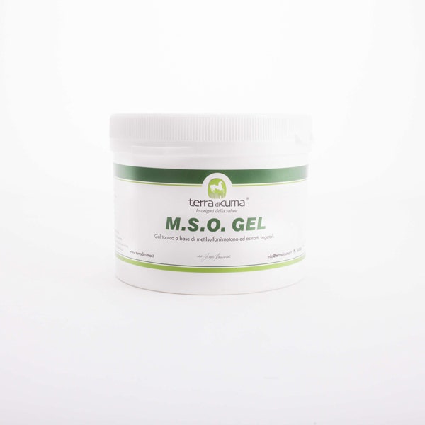Mso Gel Per Equini 500g-2
