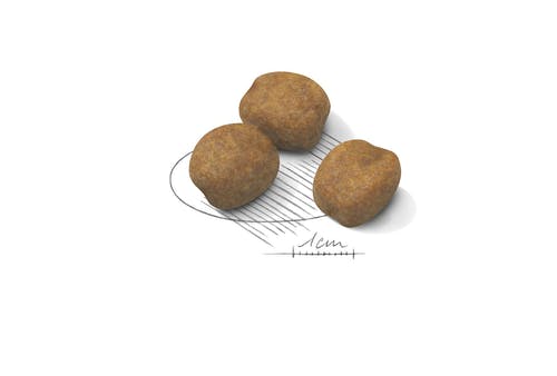 Royal Canin Giant Puppy Crocchette Per Cuccioli Taglia Gigante Sacco 15kg Fino A 8 Mesi-3