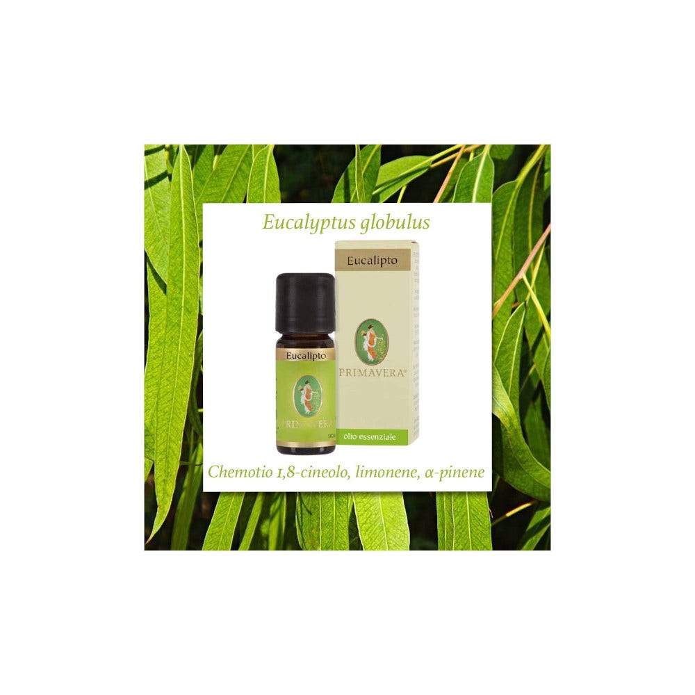 Olio Essenziale Bio Eucalipto 10ml-4