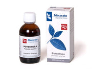 Potentilla Tintura Madre 50ml  - 2