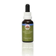 Natur Angel Sword Essenza 15ml