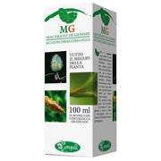 Macerato di Gemme Betulla Amenti 100ml-2