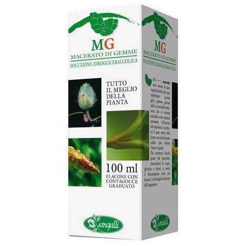 Macerato di Gemme Betulla Amenti 100ml-2