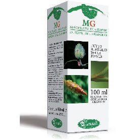 Ippocastano Macerato Di Gemme 100ml-2