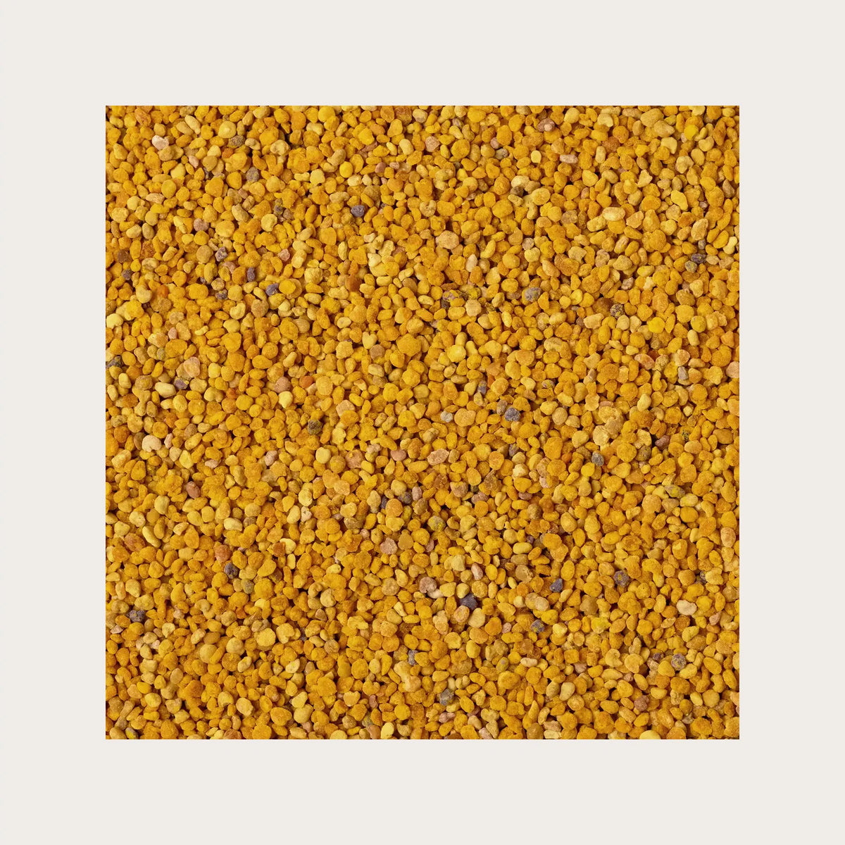 Polline 1kg