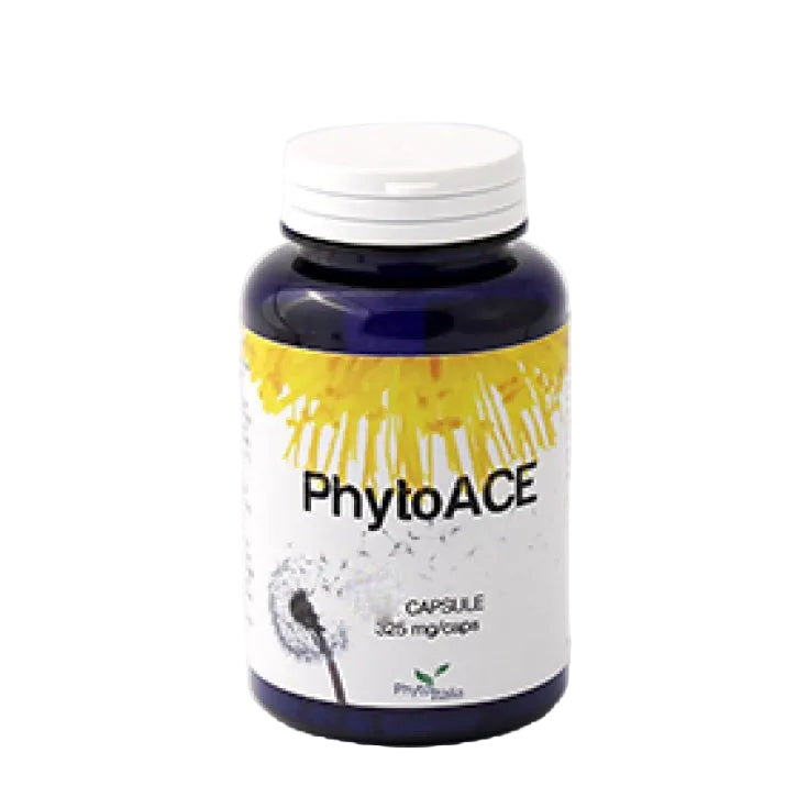 Phytoace 60 Capsule