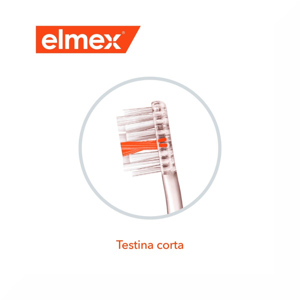 Elmex Spazzolino Protezione Inter X Medio 1 Pezzo-8