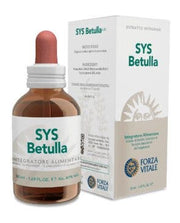 Sys Betulla Gocce 50ml-1