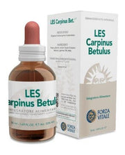 Forza Vitale Les Carpinus Betulus Gemmoderivato 1:10 Da Gemme Fresche Gocce 50ml-1