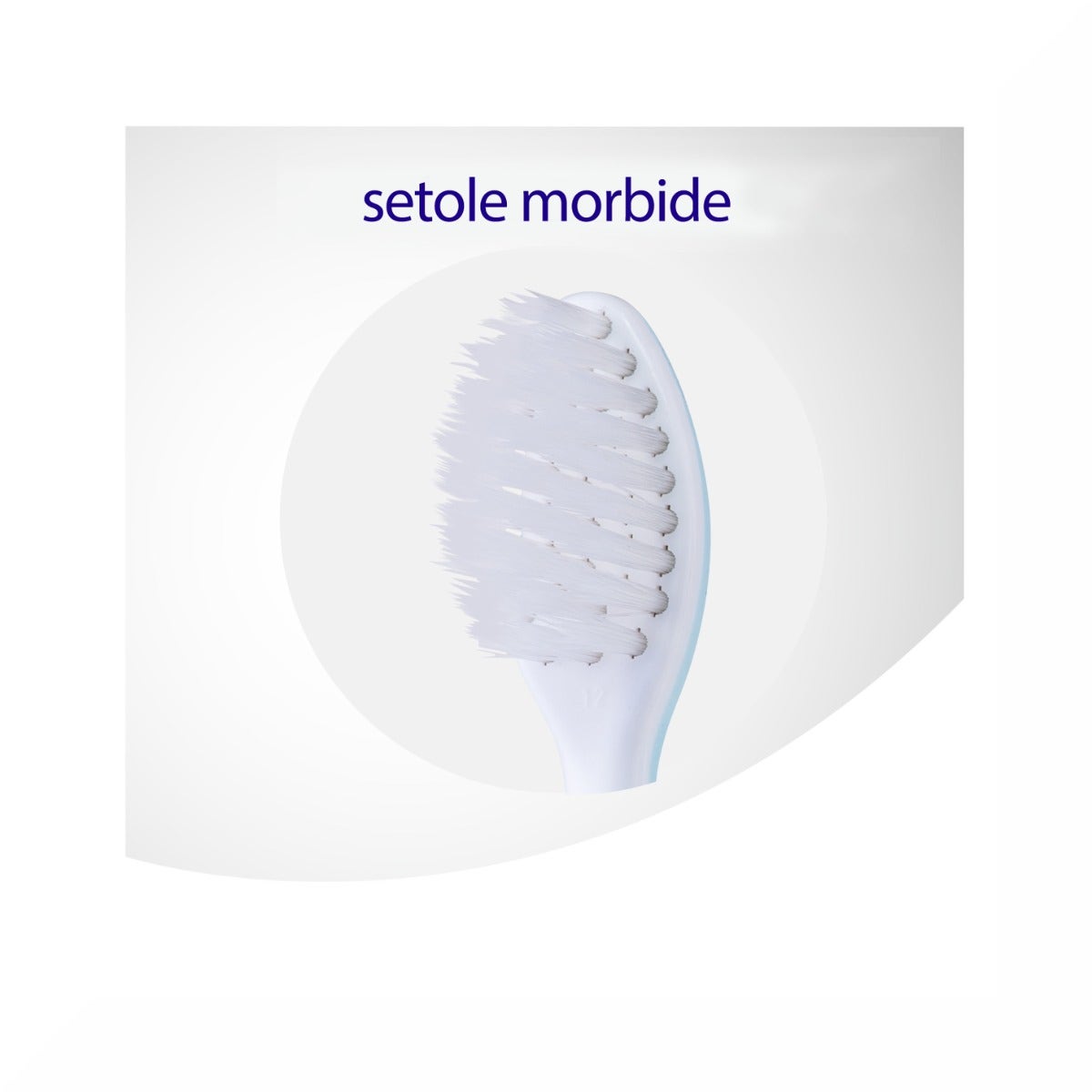 Meridol Spazzolino Protezione Gengive Morbido 1 Pezzo-18