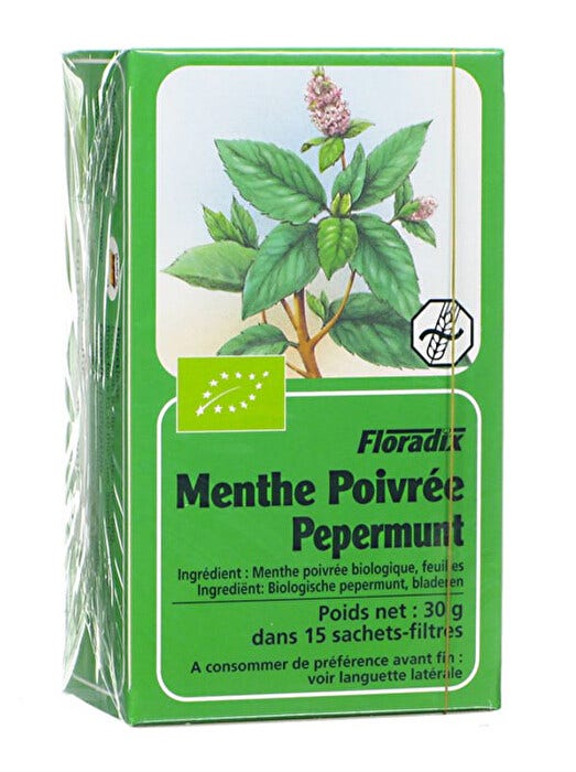 Floradix Menta Piperita Infuso BIo 15 filtri-1