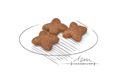 Royal Canin Crocchette Per Cani Adulti Taglia Mini Sacco 2kg-2