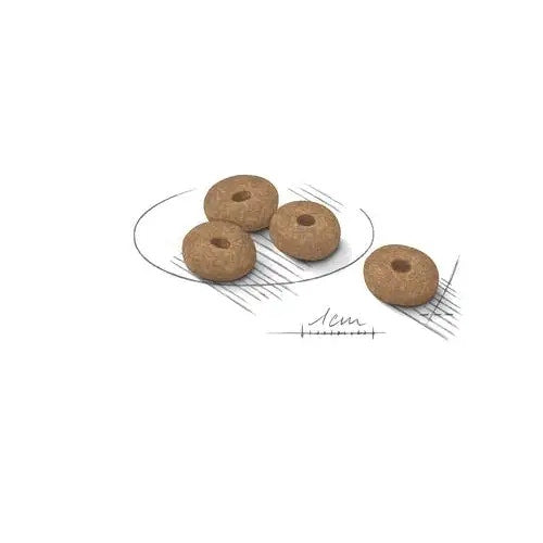 Royal Canin Light Weight Care Crocchette Per Cani Taglia Mini Sacco 8kg-2