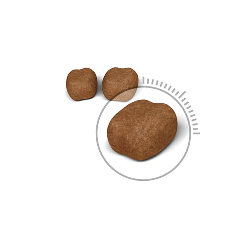 Royal Canin Feline Oral Care Crocchette Per Gatti Sacco 1,5kg-2