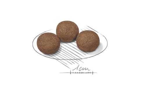 Royal Canin Crocchette Per Cuccioli Taglia Media Sacco 4kg-3