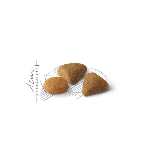 Royal Canin Feline Preference Savour Exigent Crocchette Per Gatti Sacco 10kg-3