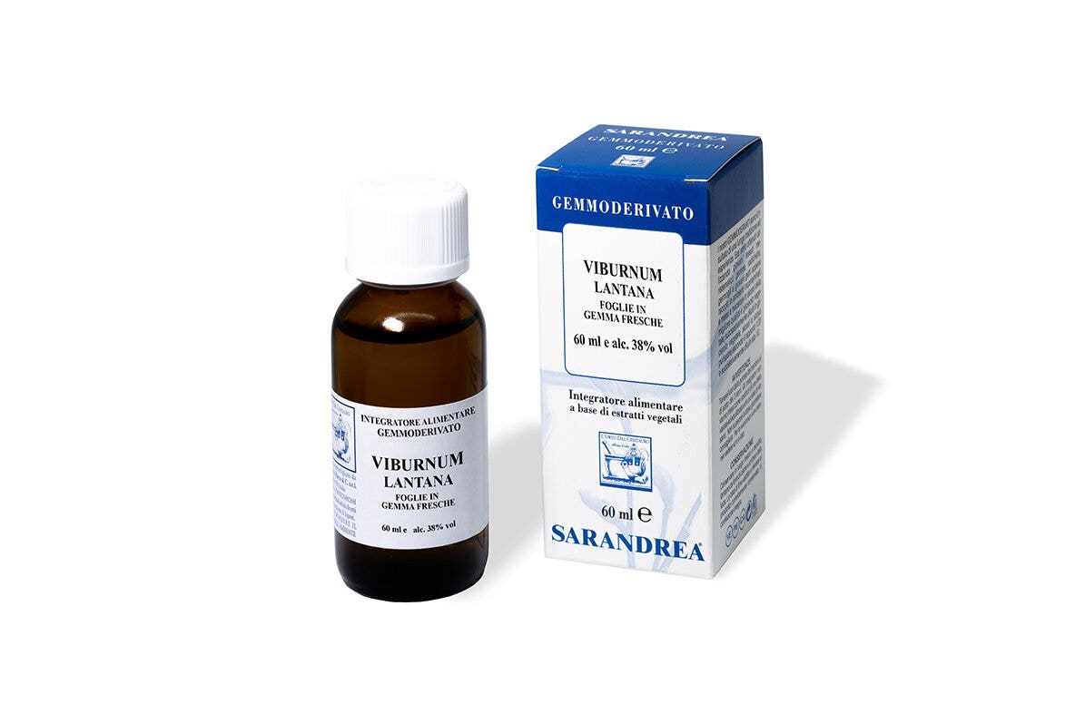 Sarandrea Viburnum Lantana Gemmoderivato 60ml-1