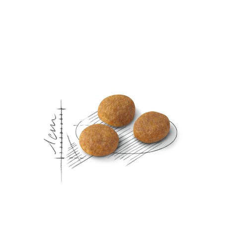Royal Canin Feline Preference Aroma Exigent Crocchette Per Gatti Sacco 2kg-2