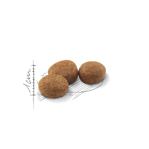 Royal Canin Feline Regular Sterilised 37 Crocchette Per Gatti Sacco 2kg-3