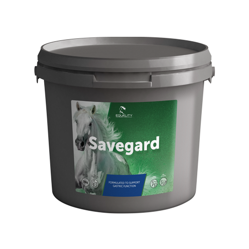 Savegard Miscela Per La Funzionalità Gastrica Equini 3Kg