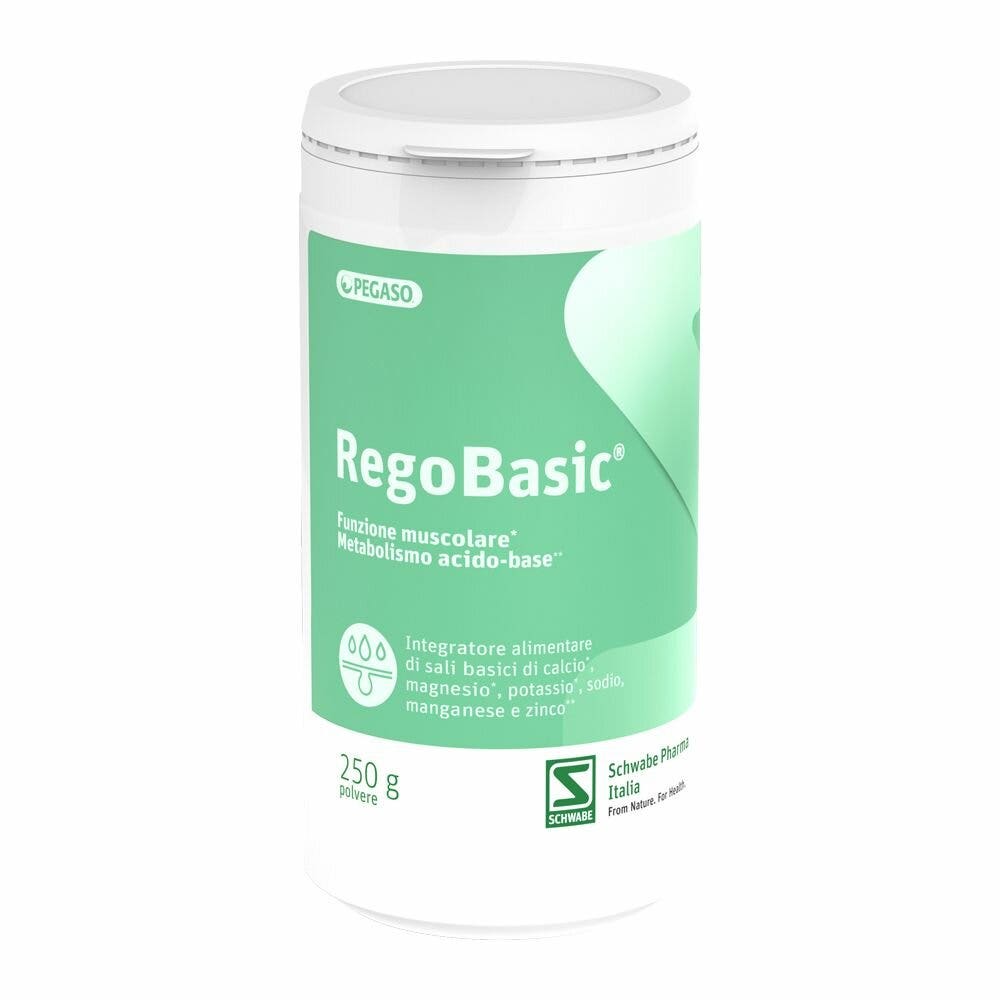Pegaso Regobasic Polvere 250g-4