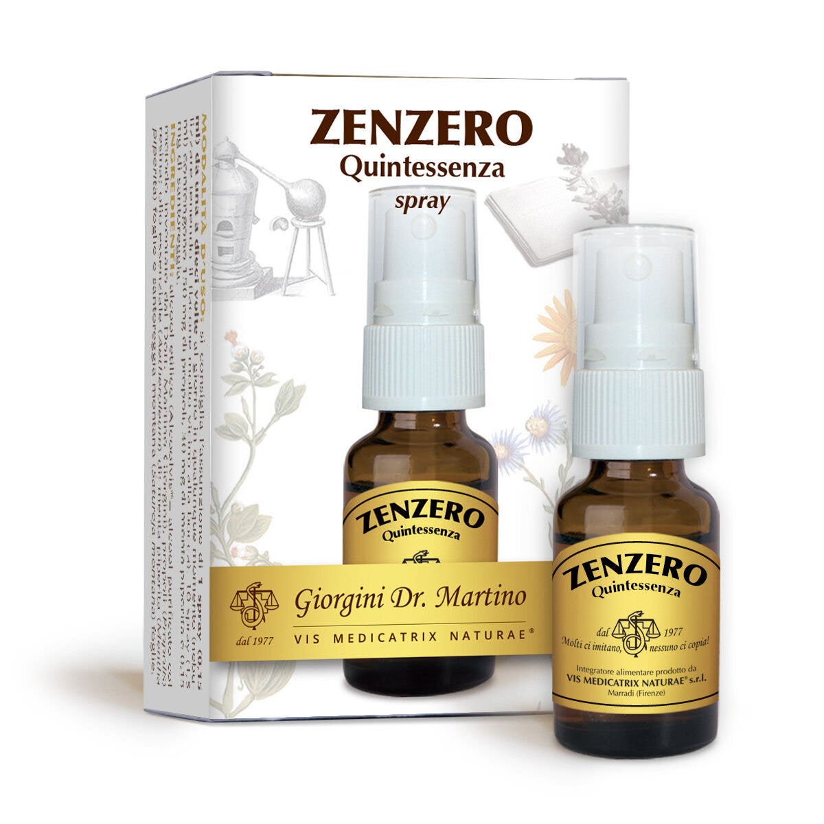 Dr Giorgini Zenzero Quintessenza Spray 15ml-1