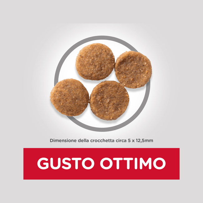 Hill's Science Plan Medium Croccantini Per Cani Adulti Con Pollo Sacco 2,5 Kg-3