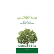 Erba Vita Licopodio Taglio Tisana Pianta 100g-1