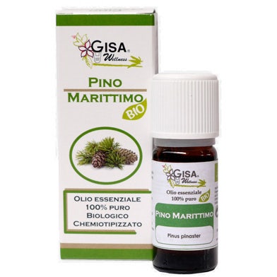 Pino Marittimo Bio 10ml         - 3