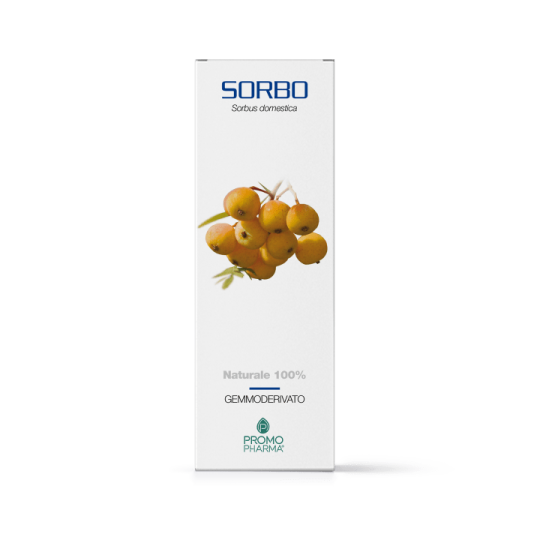 Promopharma Sorbo Gemmoderivato 50ml-1